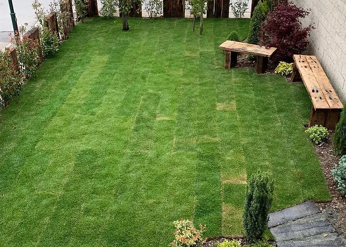 Rural Tierras Del Cid 3*